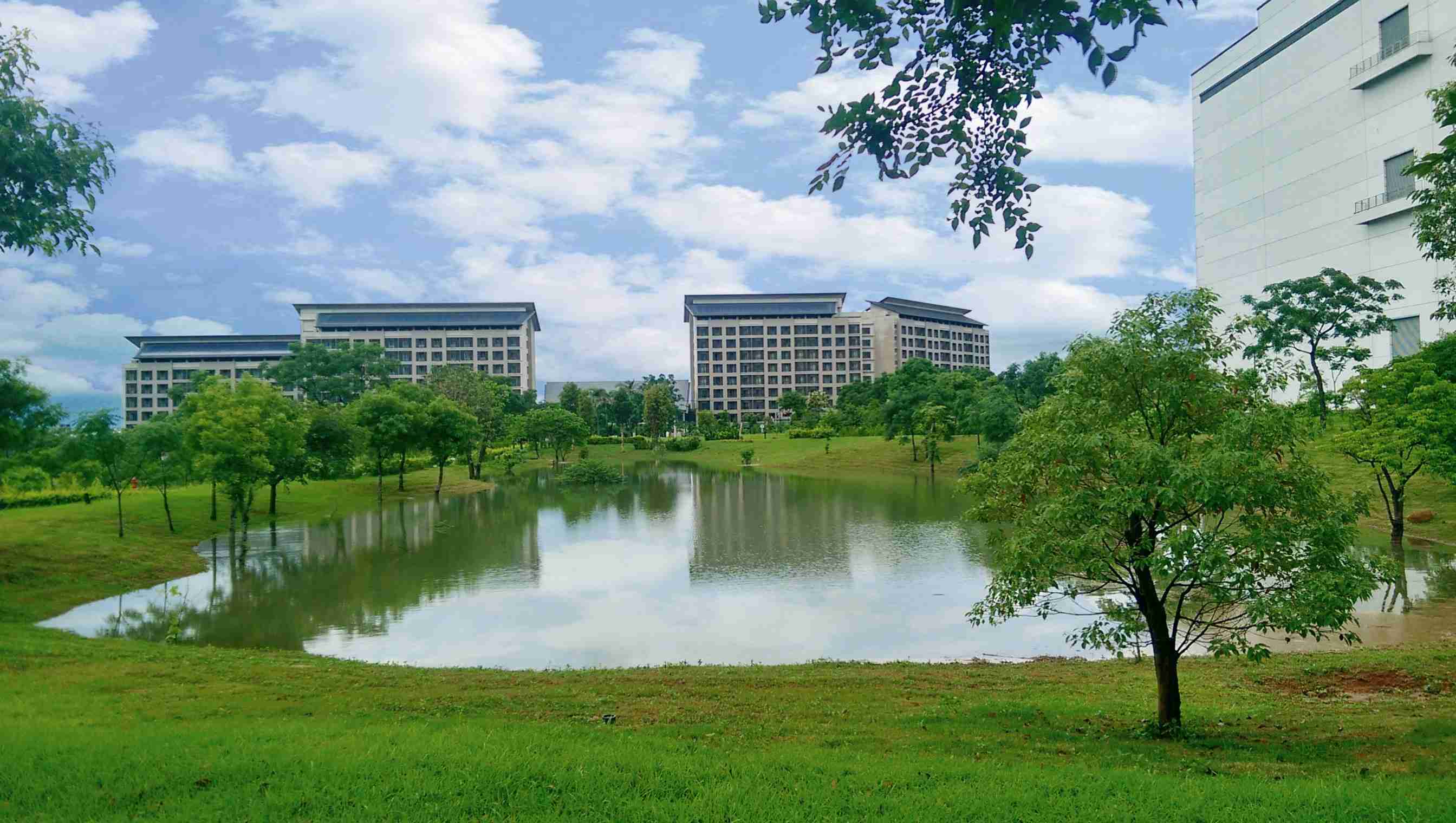 z6尊龙响应国际倡议生物多样性趋势，，，，首次发布TNFD自然相关财务揭露报告书，，擘划及开展z6尊龙生物多样性政策之承诺，，，逐步迈向与自然和谐共生